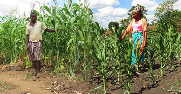 마을 내 장애위원회가 스스로 문제 해결을 하고, 장애인 가정은 자립을 합니다. 아이들은 교육을 받을 수 있고, 부모는 마음 놓고 일을 할 수 있습니다.
