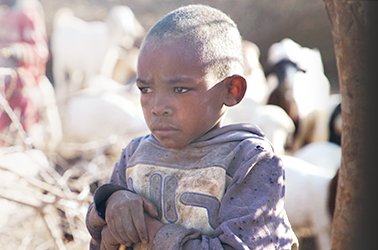 모래바람을 삼키는 아이들