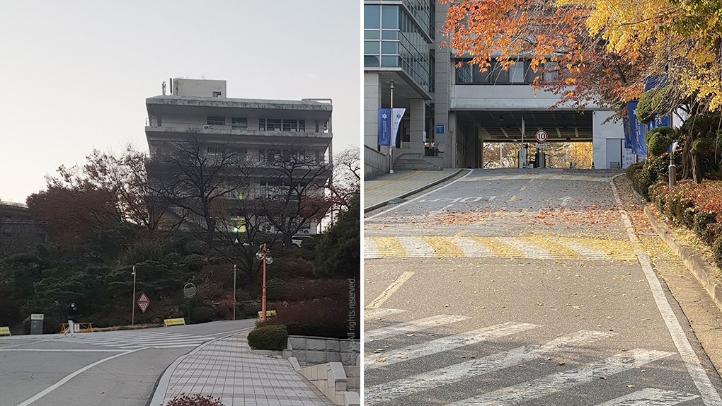 휠체어가-이동하기-힘든-D대학교(좌)와-S대학교(우)-교내-오르막길의-모습.jpg