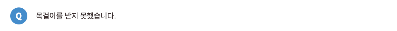 Q. 목걸이를 받지 못했습니다.
