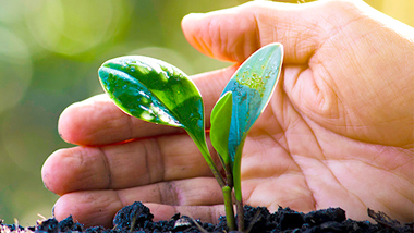 해피 앤딩(Happy Anding)을 준비하는 내 생애 가장 아름다운 약속